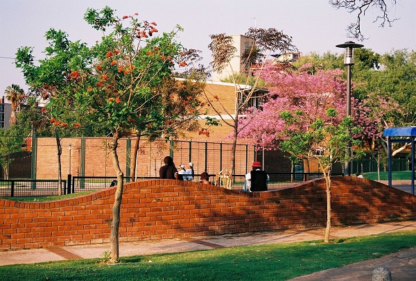 Sunnyside swimming pool precinct